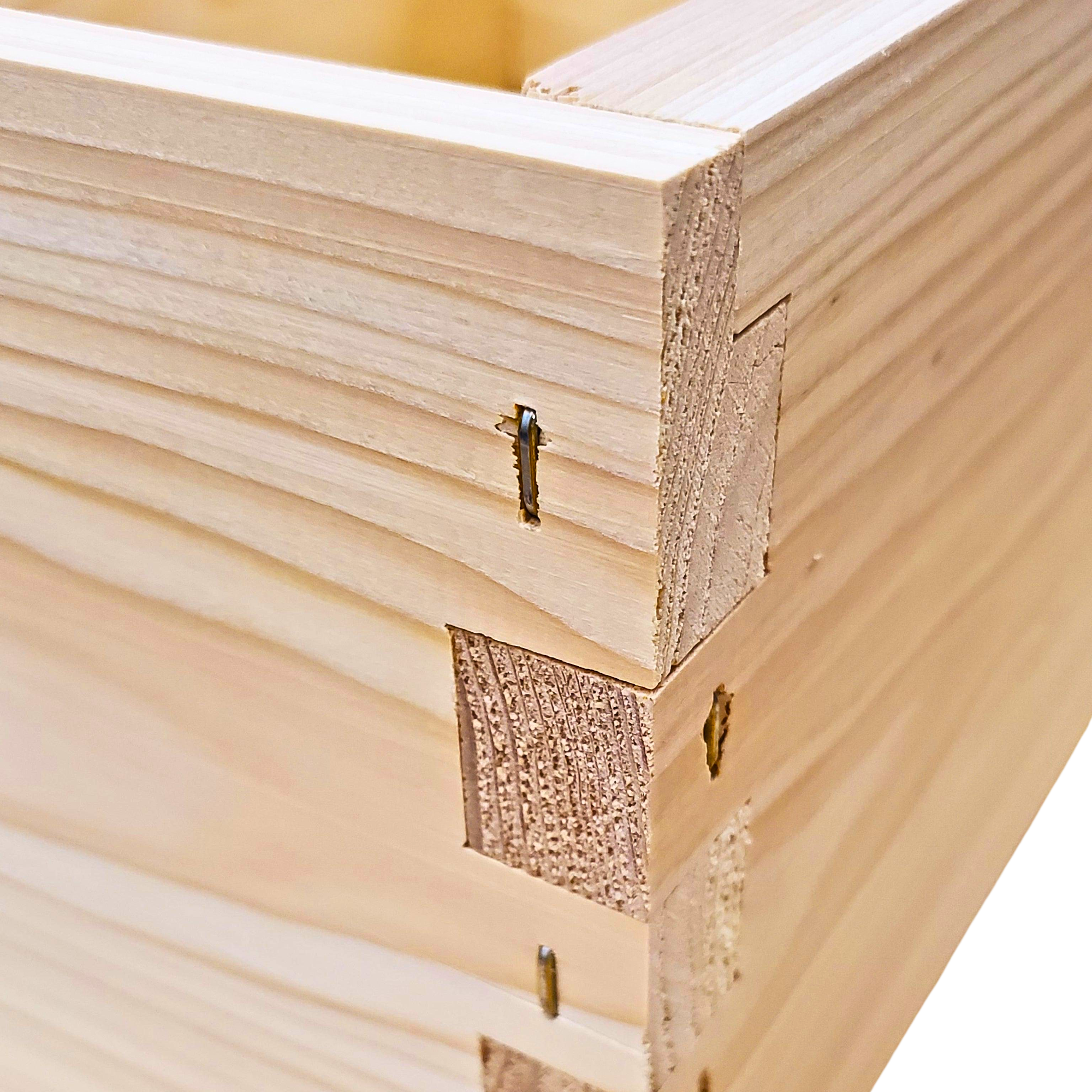 10-Frame All-Medium Box Hive Kit