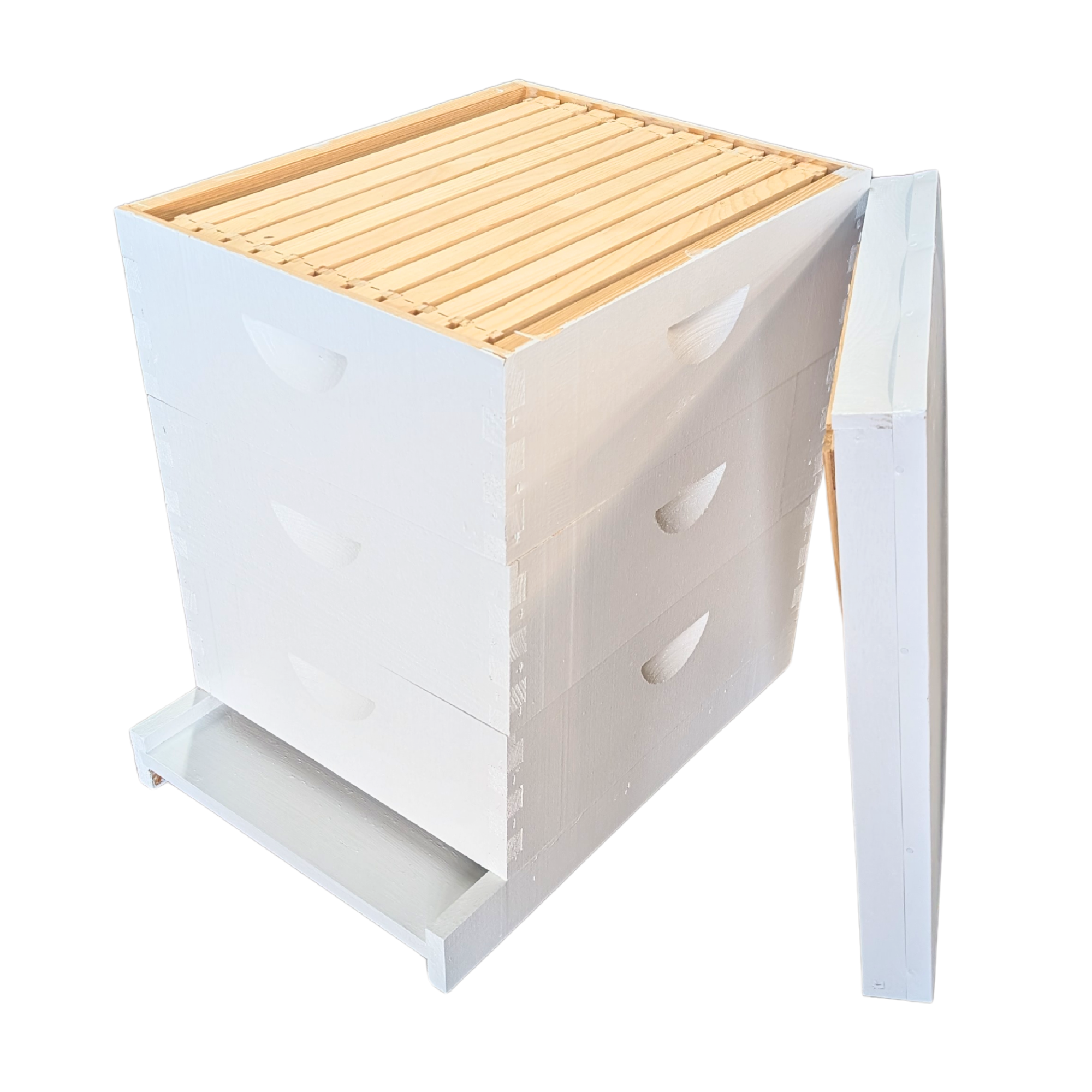 10-Frame All-Medium Box Hive Kit
