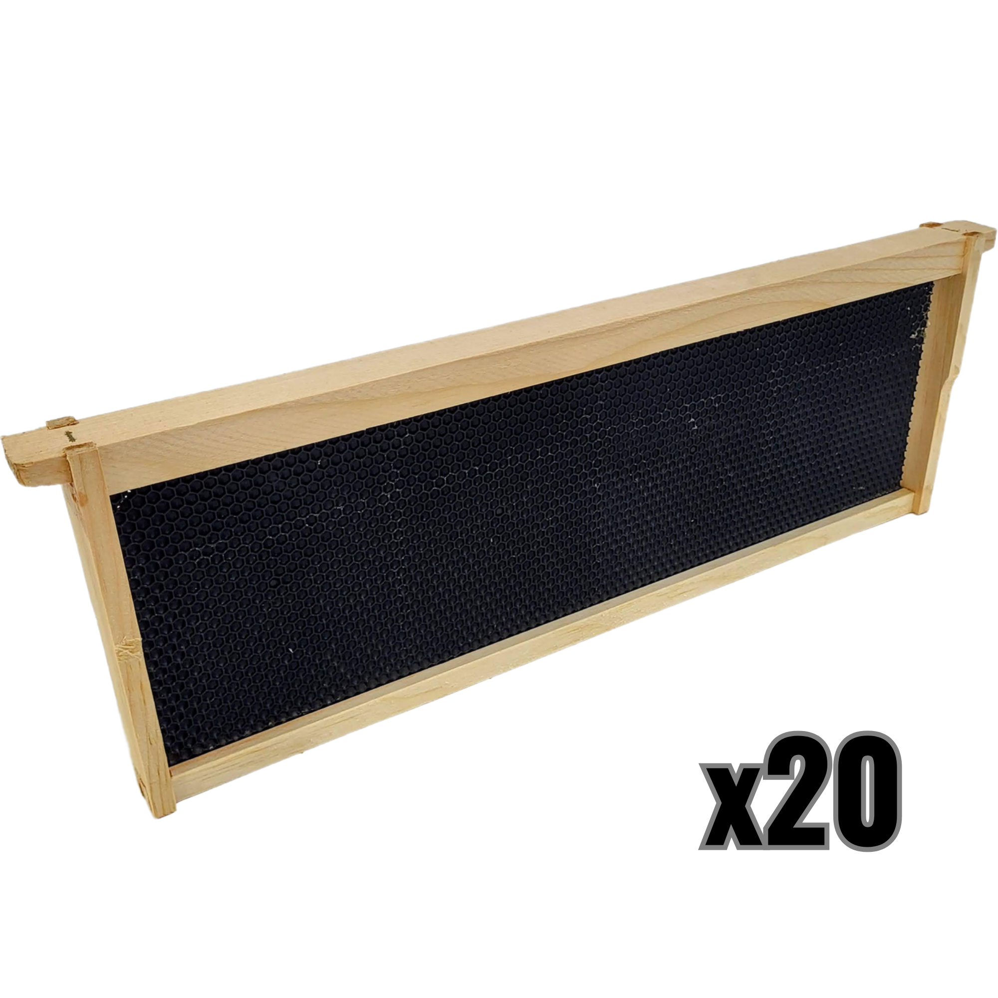 Medium 6 1/4-Inch Frame, Grooved Top / Grooved Bottom With Double Wax Foundation