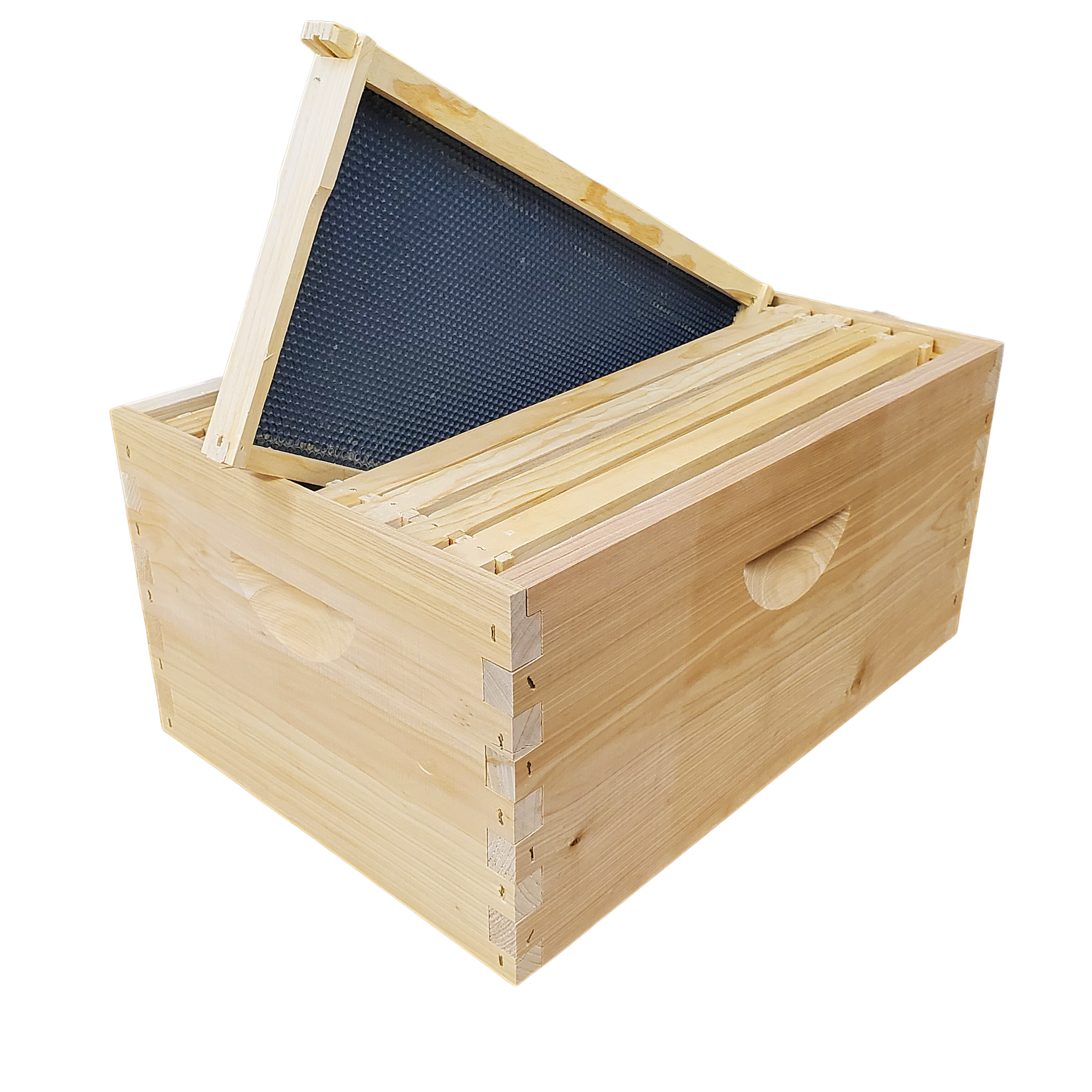 8-Frame Completed, Deep 9 5/8-inch Box with Frames and Foundation
