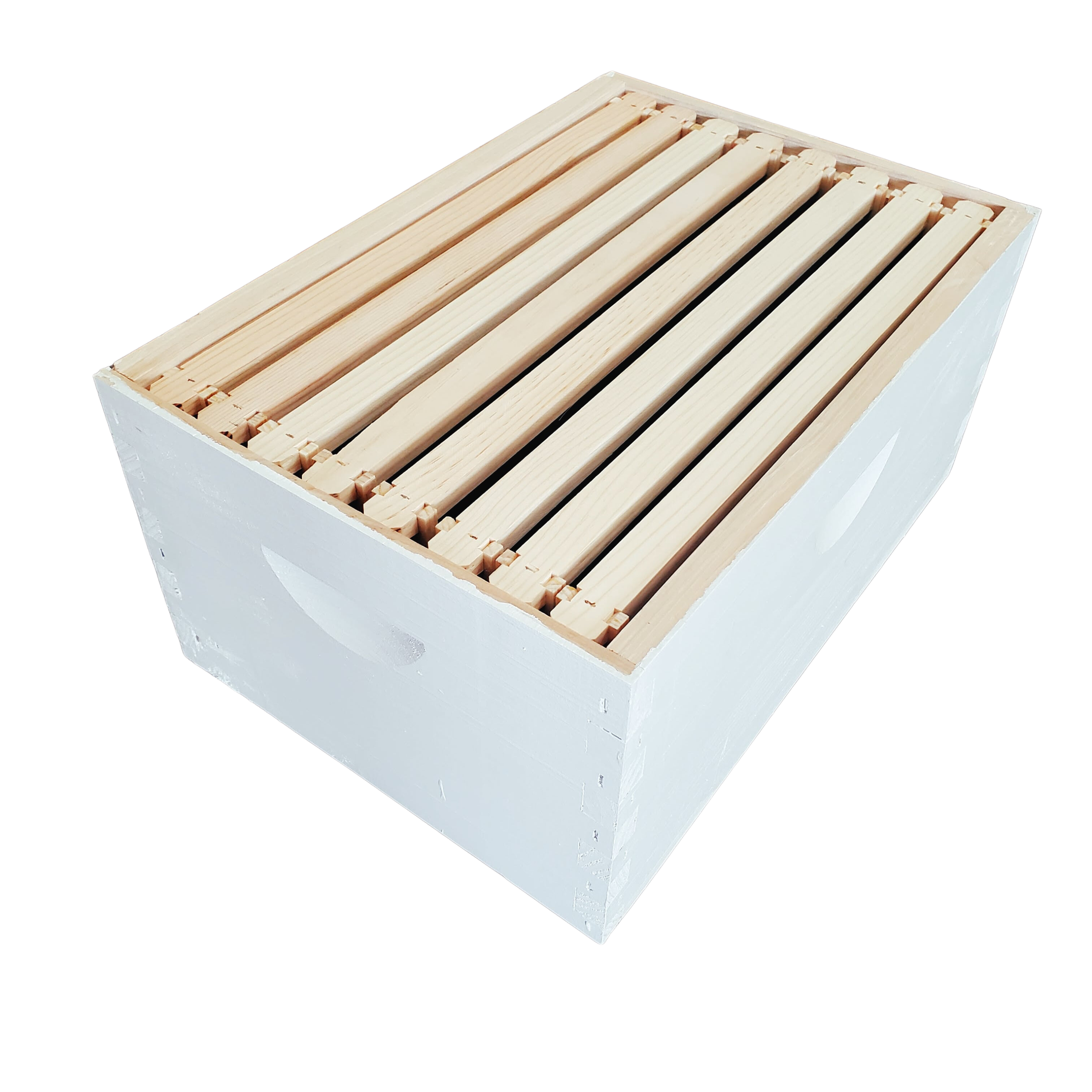 8-Frame Completed, Deep 9 5/8-inch Box with Frames and Foundation