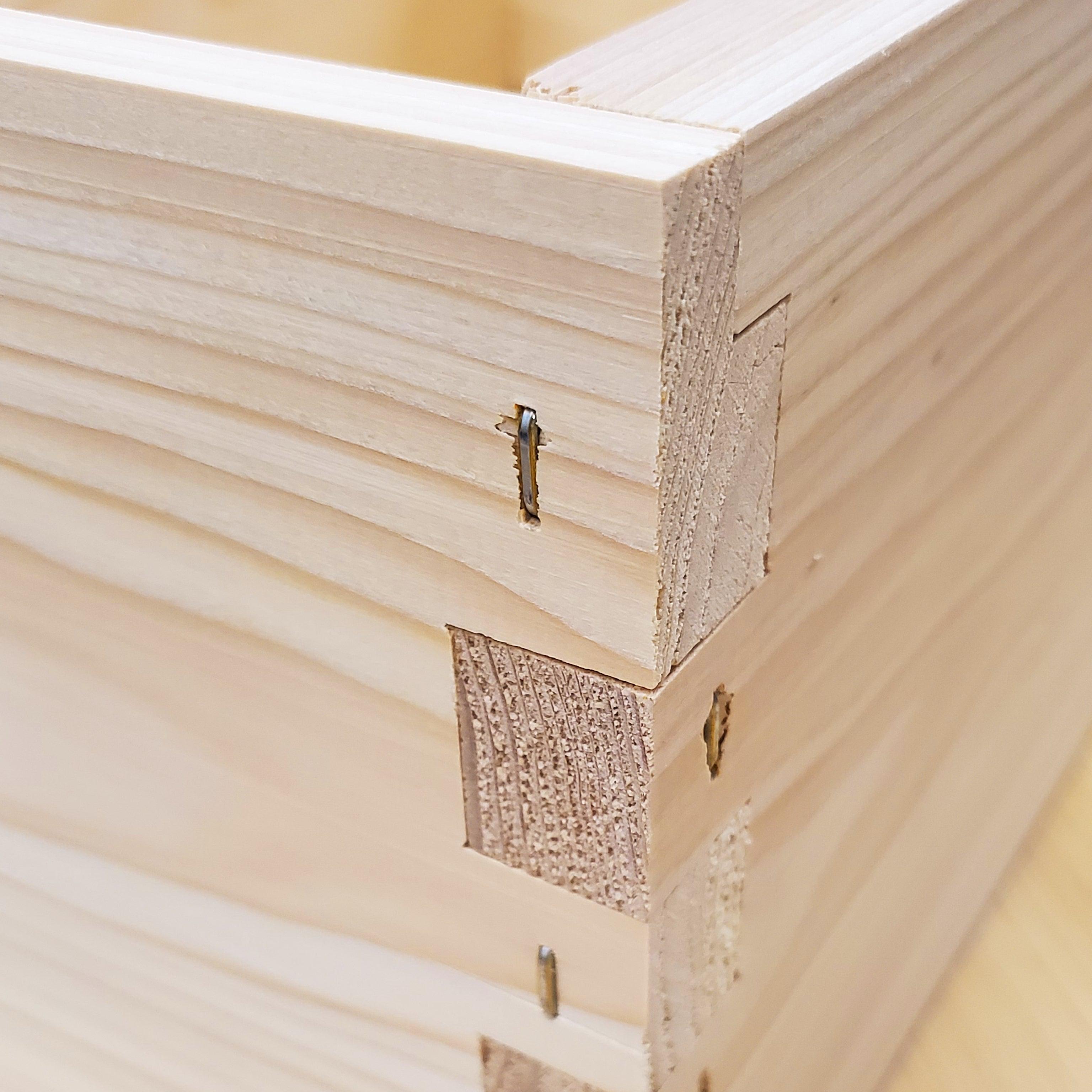 8-Frame Completed, Deep 9 5/8-inch Box with Frames and Foundation