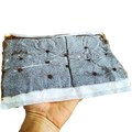 Bee Pro Protein Patties