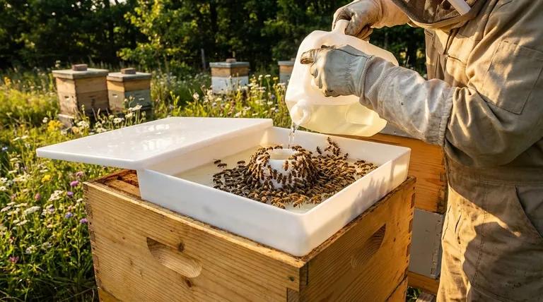Hive Management