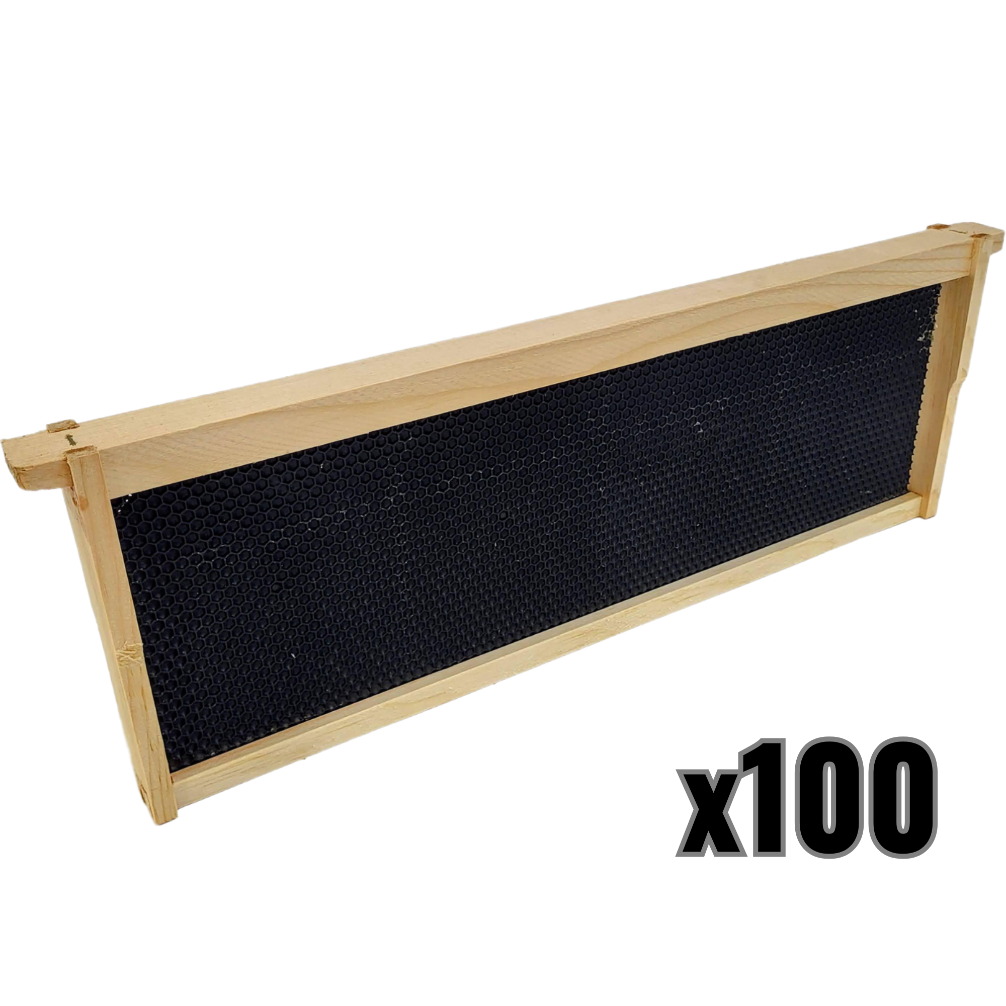 Medium 6 1/4-Inch Frame, Grooved Top / Grooved Bottom With Double Wax Foundation