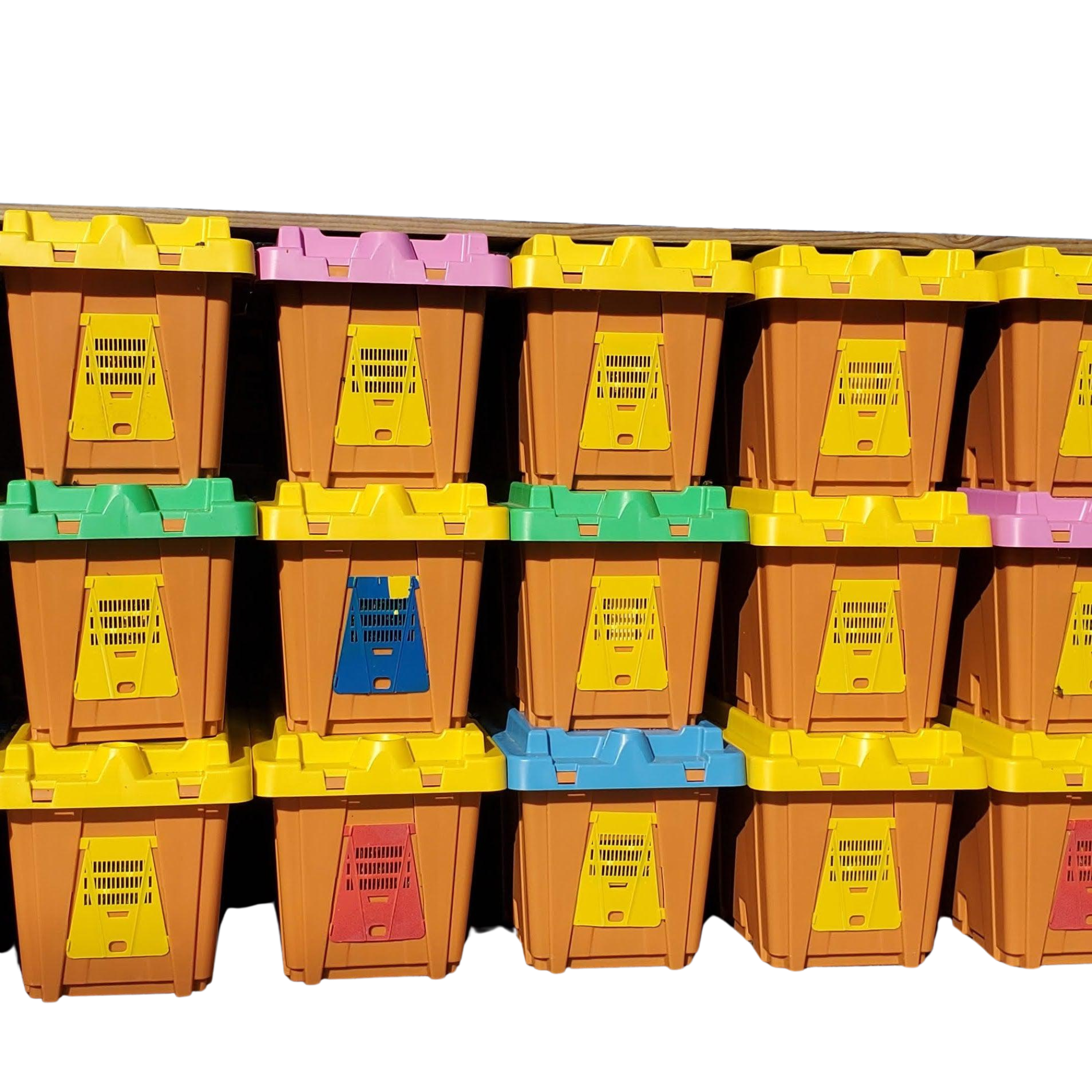 Pro-Nuc - 5 Frame Deep, Plastic Nucleus Hive