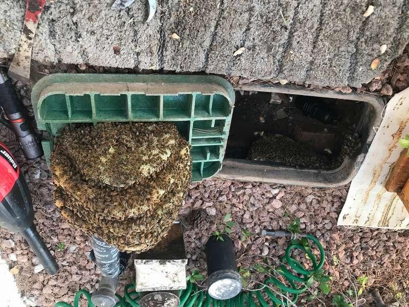 Valve Box Removal