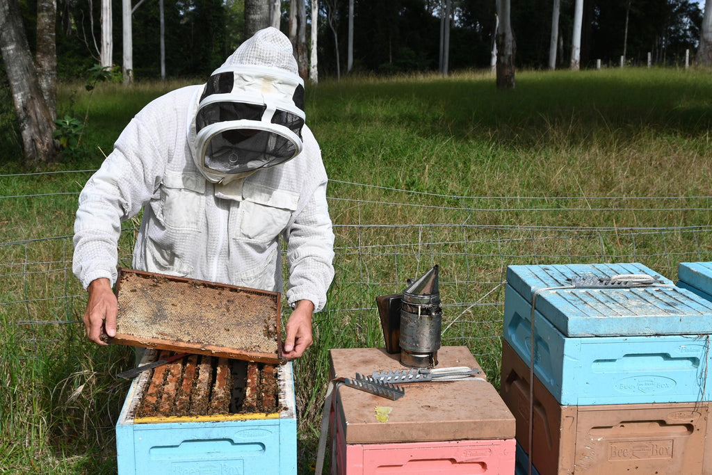 Hive Management